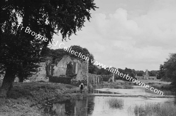 DESMOND CASTLE AND FRANCISCAN FRIARY